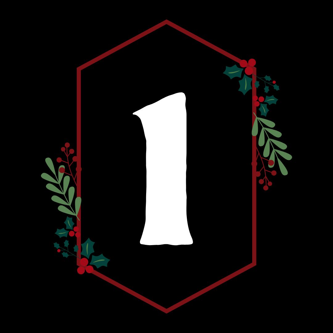 12 Days of Christmas Day 1