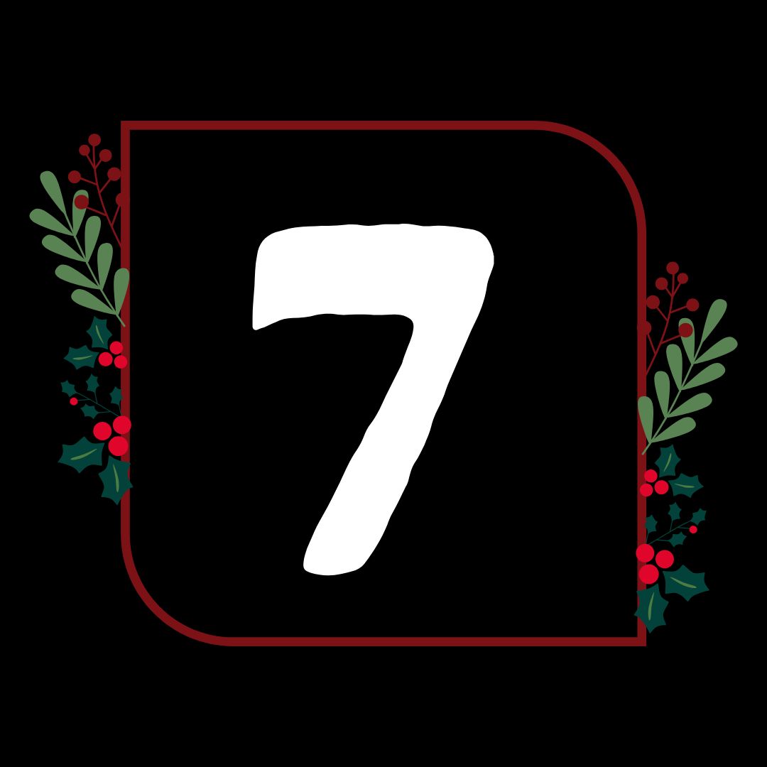 12 Days of Christmas Day 7